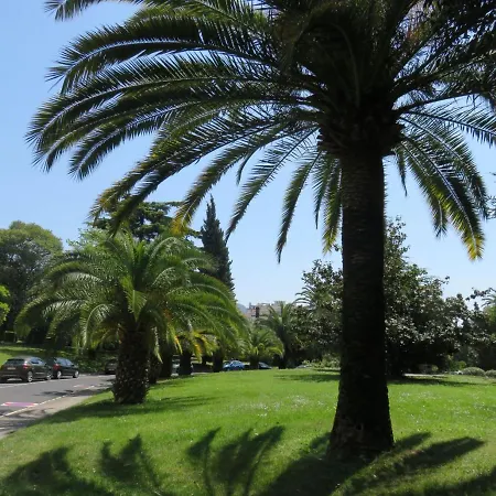 Nord 2 Pieces Calmes,wifi,clim,balcon,parking ניס