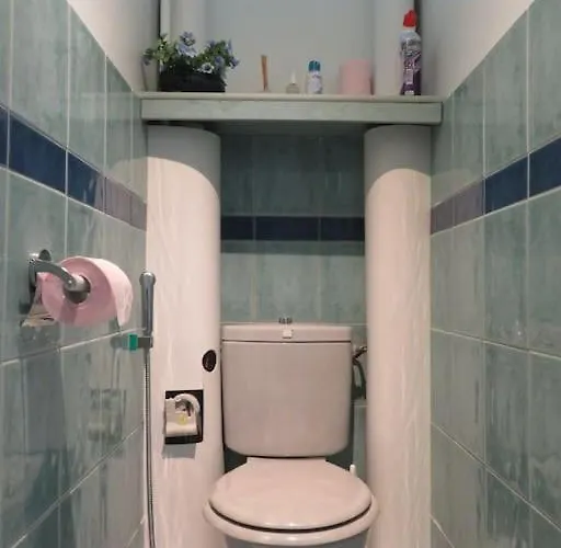 Nord 2 Pieces Calmes,wifi,clim,balcon,parking Lejlighed Nice