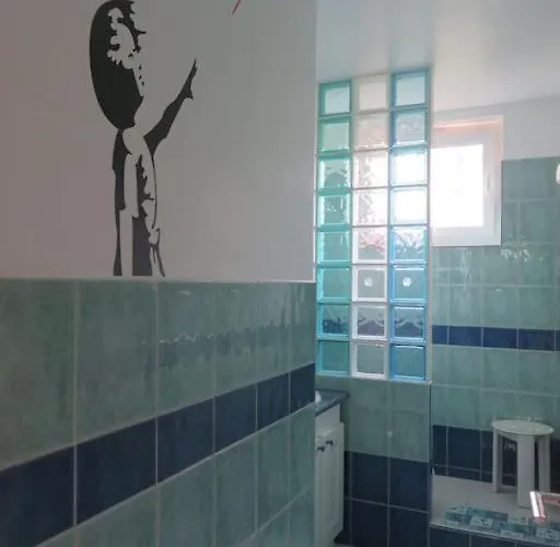 Nord 2 Pieces Calmes,wifi,clim,balcon,parking Lejlighed *