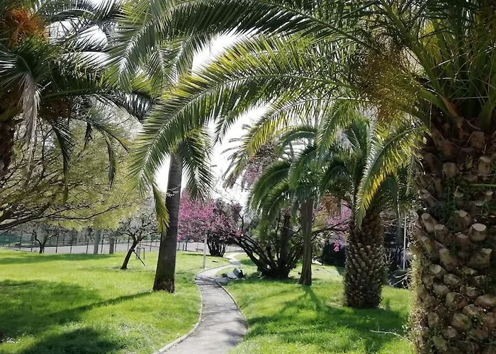 Nord 2 Pieces Calmes,wifi,clim,balcon,parking Lejlighed